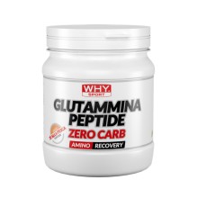 Glutammina Peptide Zero Carb